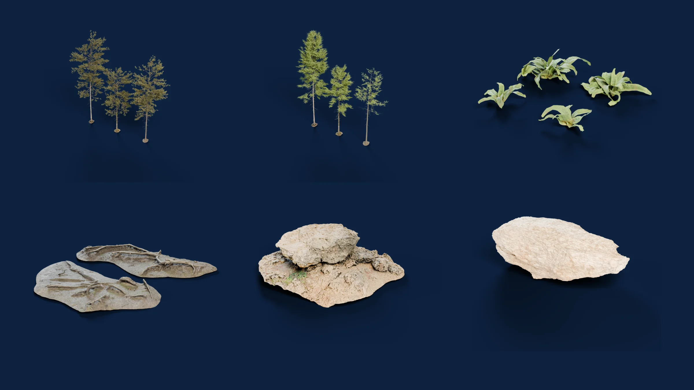 Trees, roots, ferns and rocks from the lake scene, rendered one by one